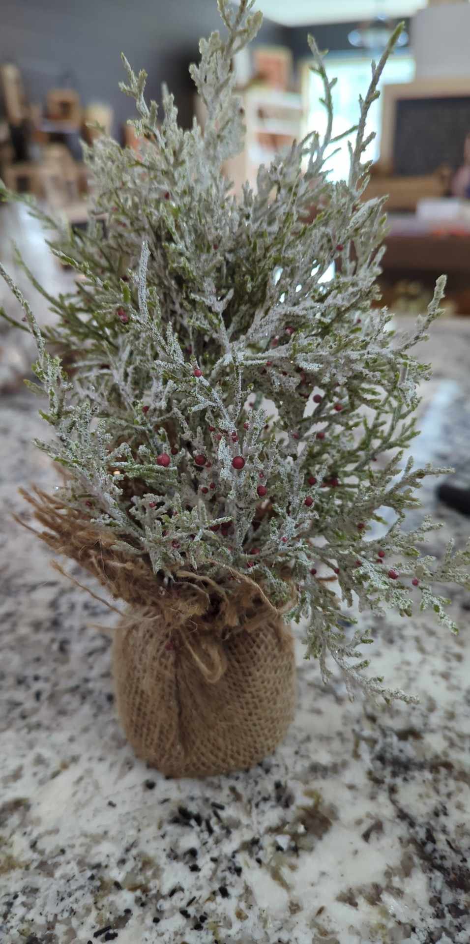 12" Snowy Cedar & Berries Sapling Green XS5050