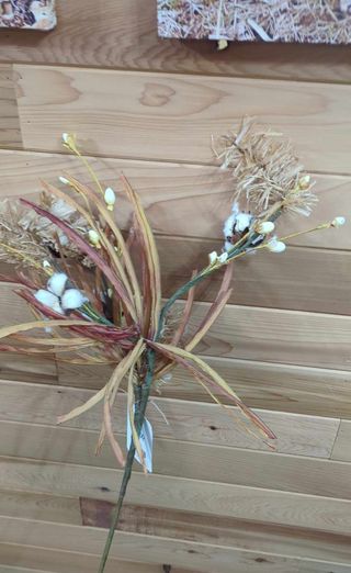 CWIFISB68813 Cotton and Fall Pick