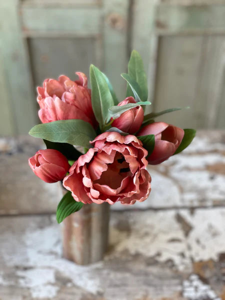 L&V RH3702 Grand Opening Tulip | 12" | Carmine
