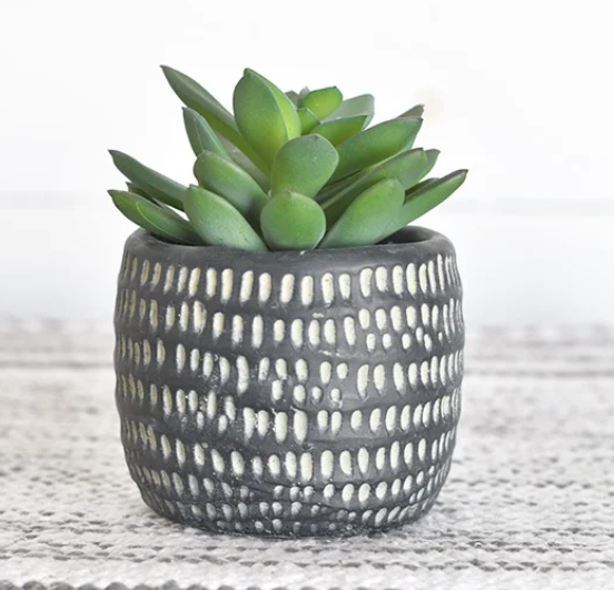 PD PDCH024 Black Potted Succulent