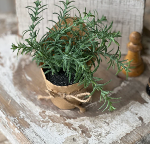 L&V TF6050 6" Paper Pot Springerri