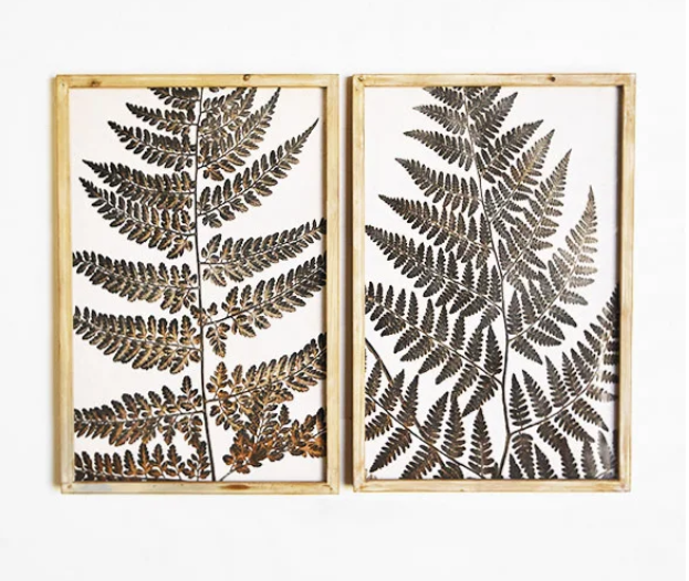 PD HXHC997 23.6" Assorted Fern Wall Decor