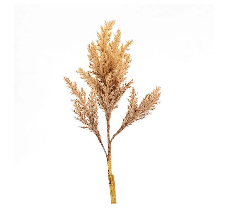 PD PDXH05 Taupe Fluffy Stem