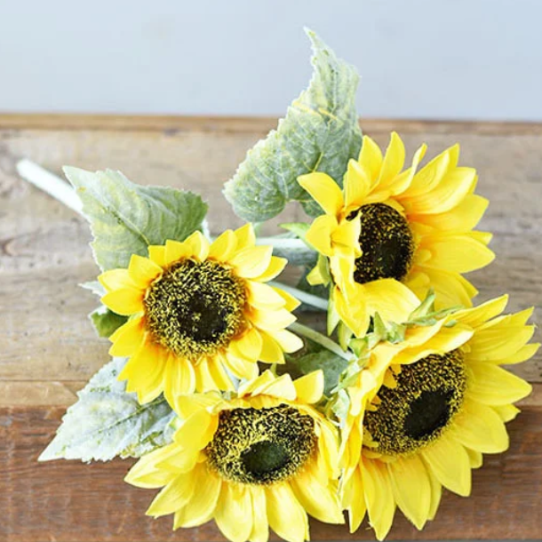 PD PDCH025 17.75" Sunflower