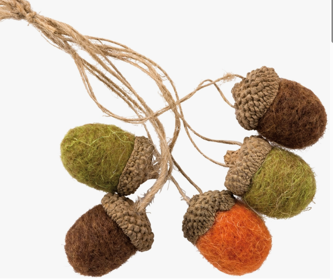 Wool Felted Acorns - Set Of 5