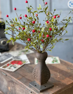 L&V Blaze Berry Bush 11" Red