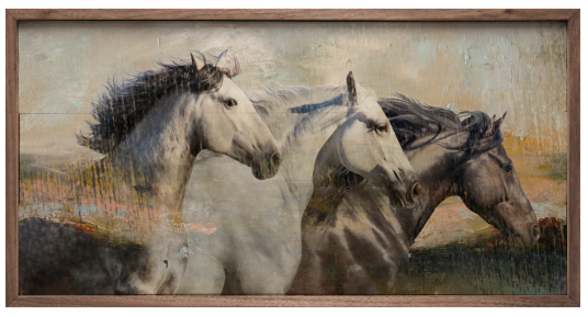 KH Northwind Freedom Horse
