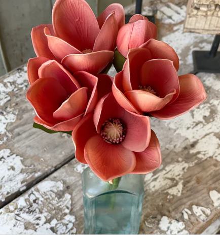 L&V RH3853 Magnolia Bundle | 13" | Nectarine