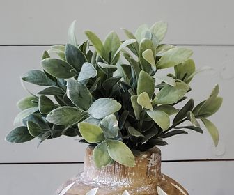 PD PDL001 Baby Leaves Greenery