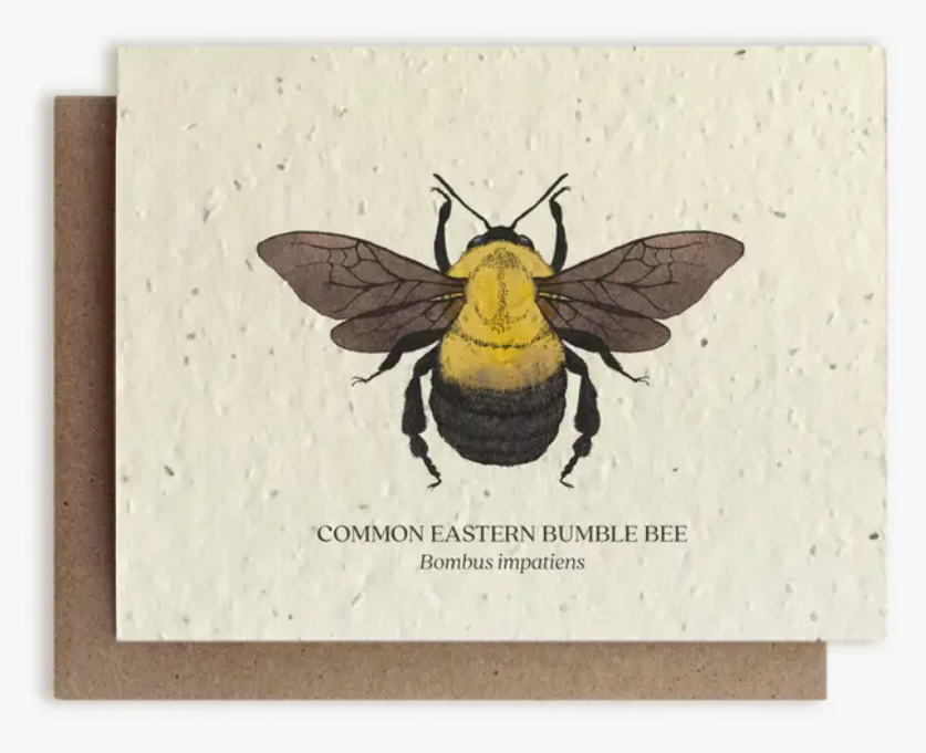 Plantable Wildflower Seed Greeting Card
