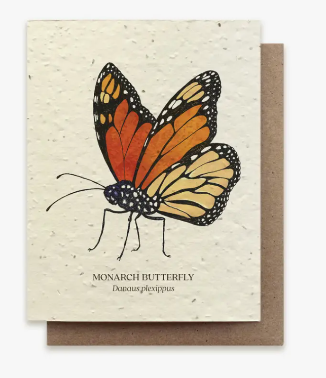 Plantable Wildflower Seed Greeting Card