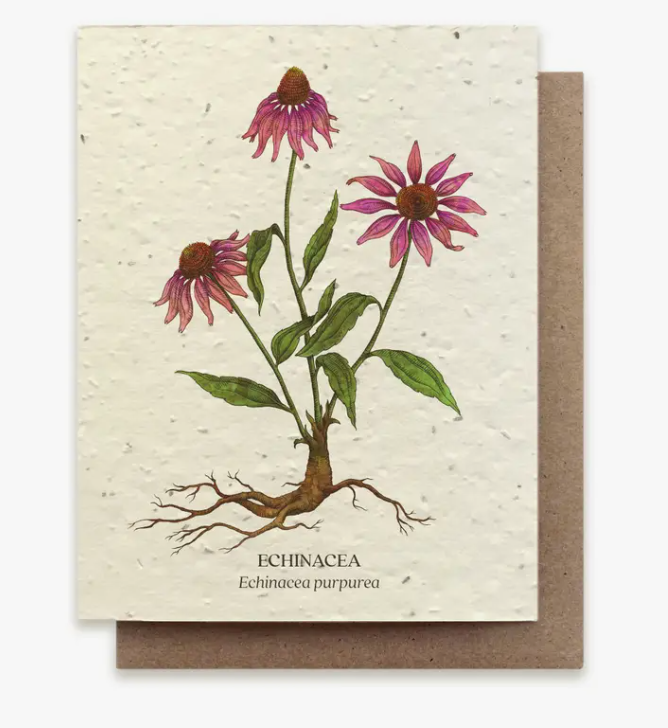 Plantable Wildflower Seed Greeting Card