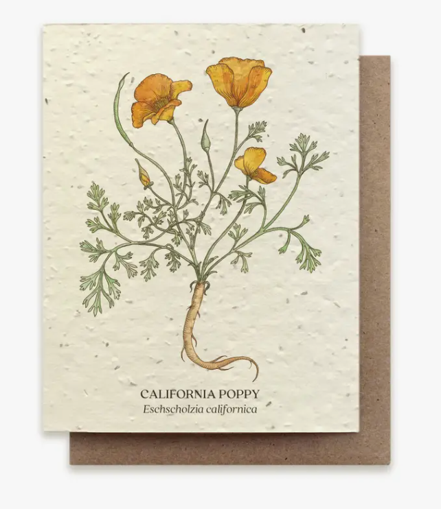 Plantable Wildflower Seed Greeting Card