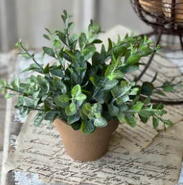 LV RA5081 Gaehouse Herb Pot No.2 6" Greenery