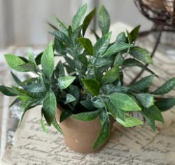 LV RA5082 Gaehouse Herb Pot NO.3 6" Greenery