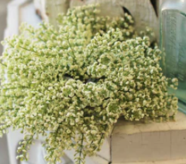 LV FG9460WT Bursting Astilbe Half Sphere 9" Greenery