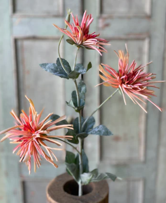 L&V BE1083 Sassafras Mum Spray Coral