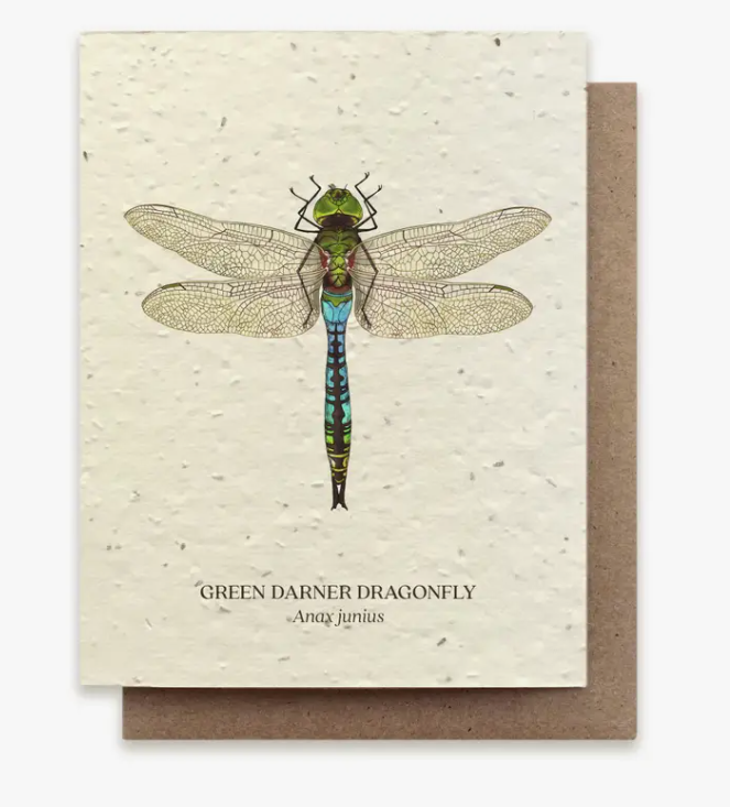 Plantable Wildflower Seed Greeting Card