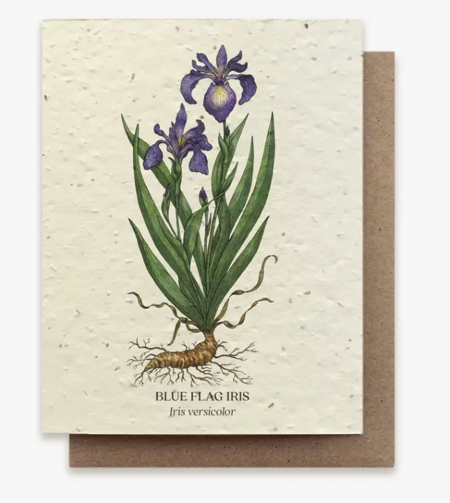 Plantable Wildflower Seed Greeting Card