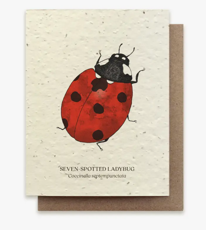 Plantable Wildflower Seed Greeting Card