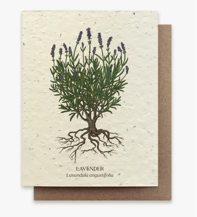 Plantable Wildflower Seed Greeting Card