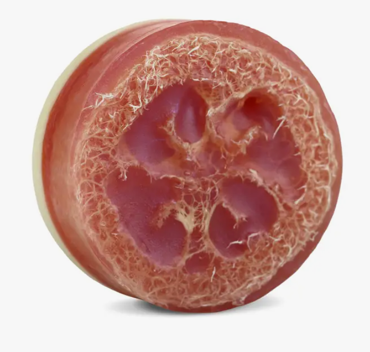 Loofah Bar Soap 5.2 oz