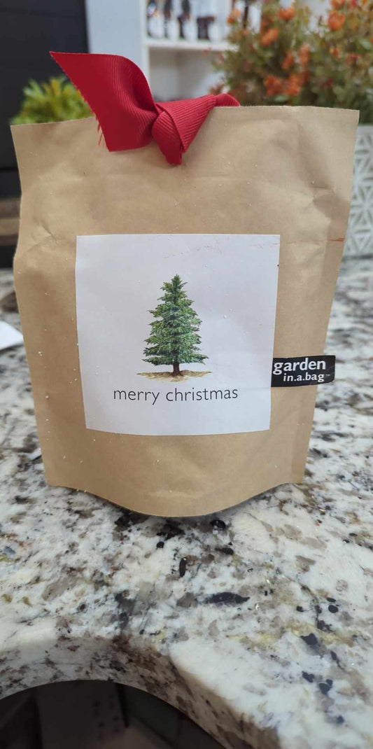 TW Christmas Tree Garden