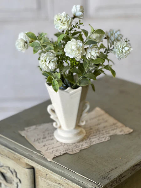 LV FG9867 Irish Hops Bush | 10" | Cream