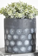 POLKA DOT PLANTERS LG