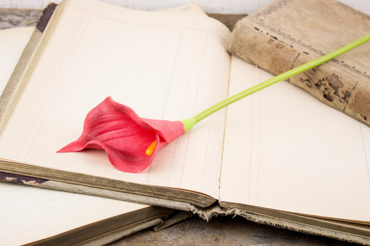 Red Calla Lily Stem