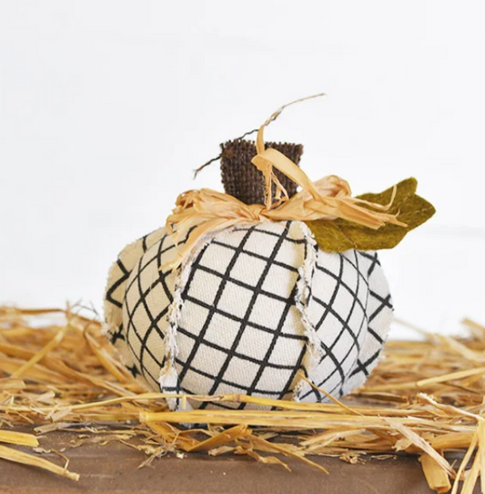 PD PD2117013 4.5" Urban Pumpkin