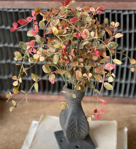 L&V V91665 12" Bog Pimpernel Bush | RD