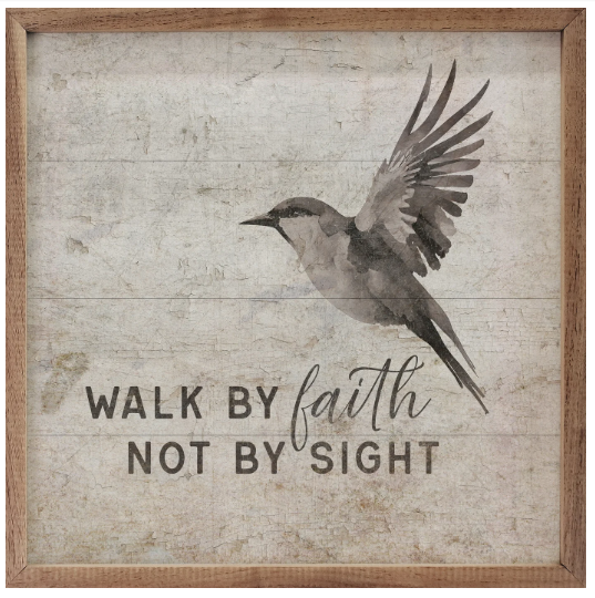 Kendrick Walk By Faith Not By Sight Bird White