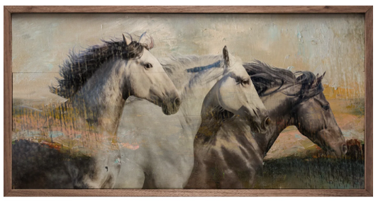 KH Northwind Freedom Horse
