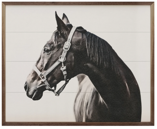 Kendrick Beauty Of The Horse
