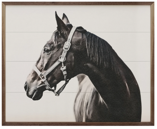 Kendrick Beauty Of The Horse