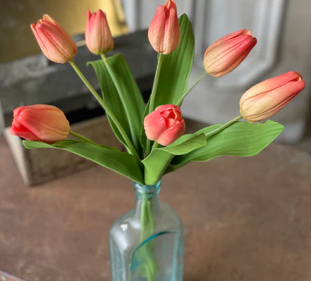 L&V RH2061 Tulip Time Peach 14.5"