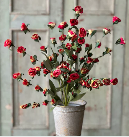 L&V YL1827 Crinoline Blooms Bush | 22" | Rosa