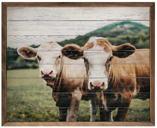 KH Cow Pair In Pasture