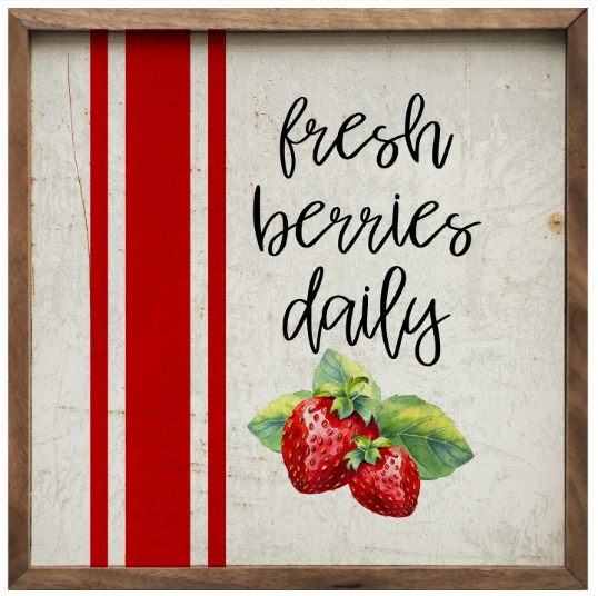 KH Fresh Berries Daily Stripe Whitewash