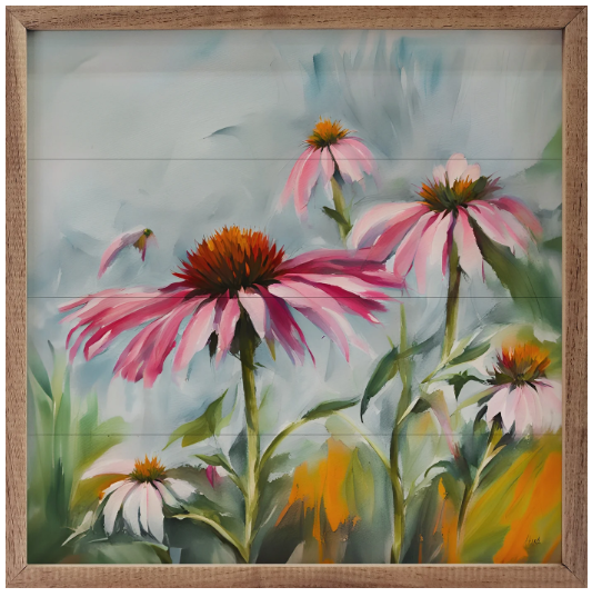 KH Coneflowers
