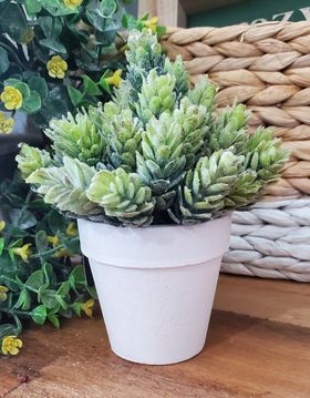 PD PDQH030 Hop Plant Greenery