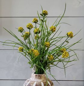 LV CS2129 Cut Clove Bush Yellow 17.5" Greenery