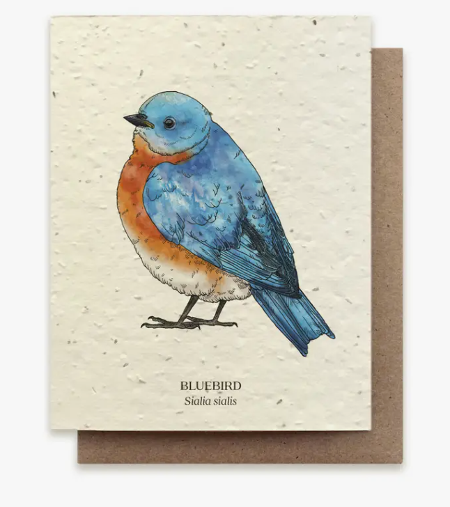 Plantable Wildflower Seed Greeting Card
