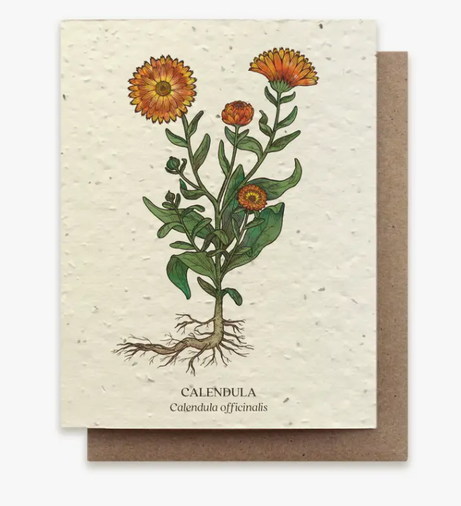Plantable Wildflower Seed Greeting Card