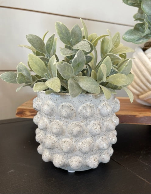 Combo Set Dot Vase With Greenery