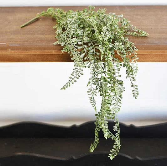 PD PDCH026 Wild Vetch Greenery 33.5"
