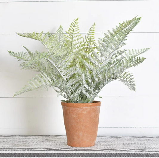 PD PDCH051 Fern In Pot 20" Greenery