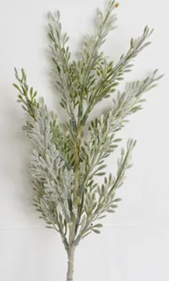 PD PDCH031 Frosted Cypress Stem 15.75" Greenery