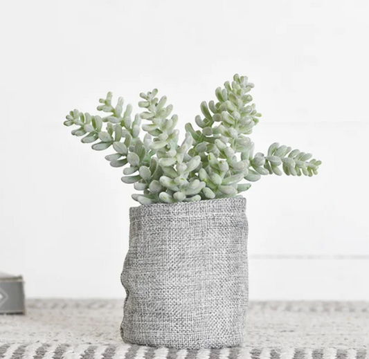 PD PDH044 Flocking Succulent In Gunny Bag 7.5" Greenery